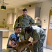 Military Working Dog T262 Tooth Extraction