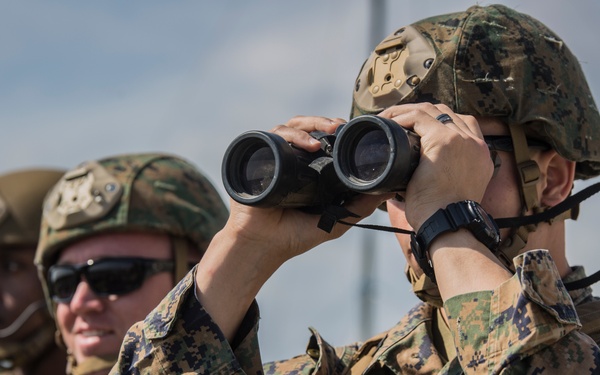 NATO allies train on Camp Lejeune