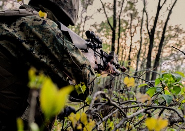 Barksdale welcomes Marines’ Lone Star Battalion for training