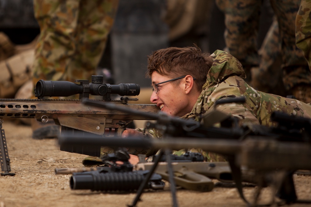 Through the Scope