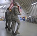 Ramstein Airmen train for honor