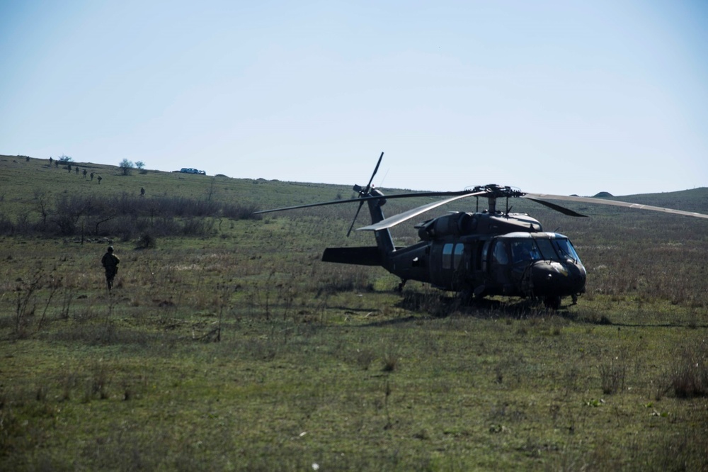 Platinum Lynx 16-3: BSRF Marines conduct Live Fire and Maneuver Course with NATO Allies