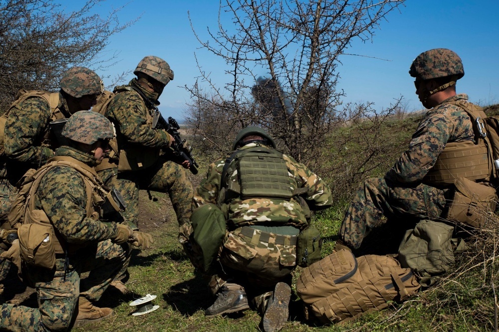 Platinum Lynx 16-3: BSRF Marines conduct Live Fire and Maneuver Course with NATO Allies