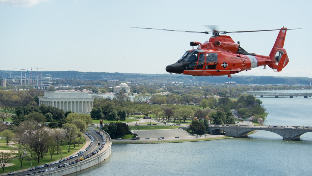 Coast Guard helicopter crew flies above the cherry blossoms