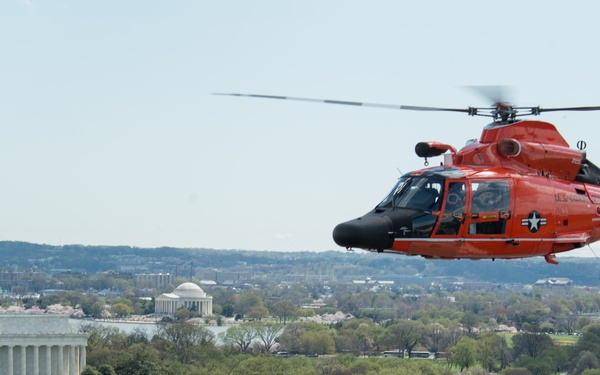 Coast Guard helicopter crew flies above the cherry blossoms