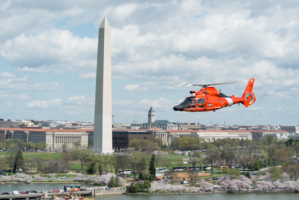 Coast Guard helicopter crew flies above the cherry blossoms