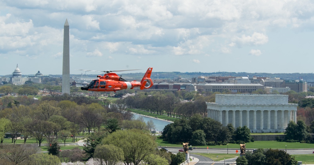 Coast Guard helicopter crew flies above the cherry blossoms