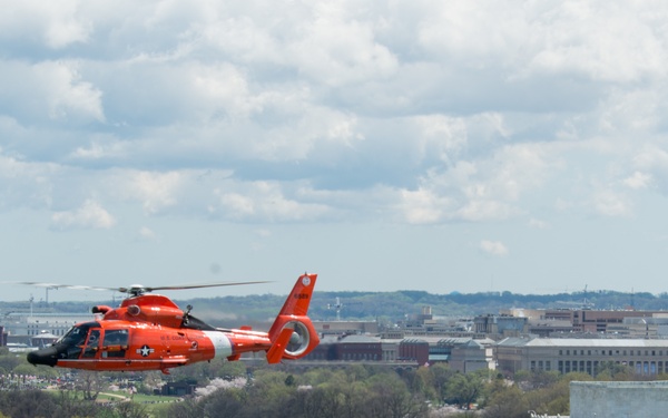 Coast Guard helicopter crew flies above the cherry blossoms