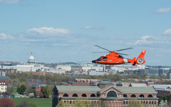 Coast Guard helicopter crew flies above the cherry blossoms