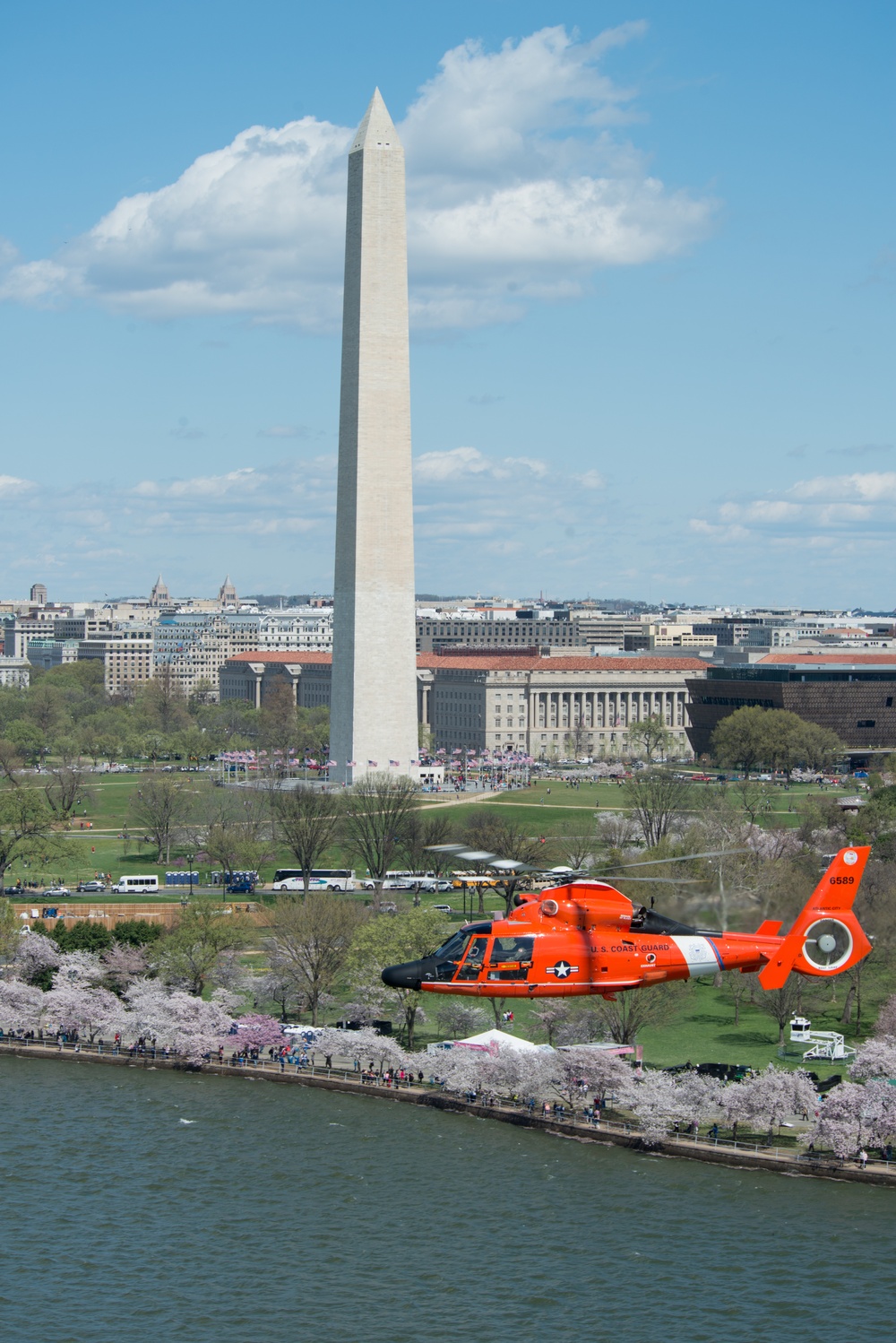 Coast Guard helicopter crew flies above the cherry blossoms