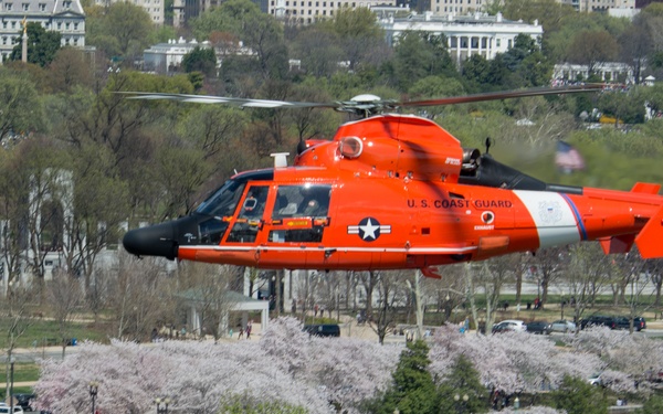Coast Guard helicopter crew flies above the cherry blossoms