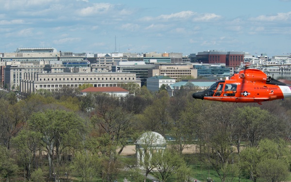 Coast Guard helicopter crew flies above the cherry blossoms