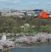 Coast Guard helicopter crew flies above the cherry blossoms