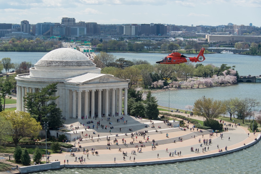 Coast Guard helicopter crew flies above the cherry blossoms