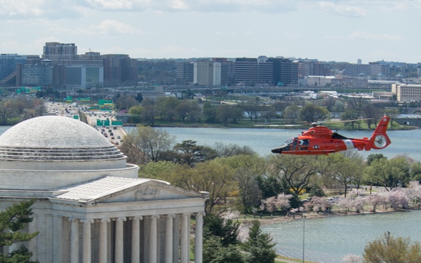 Coast Guard helicopter crew flies above the cherry blossoms