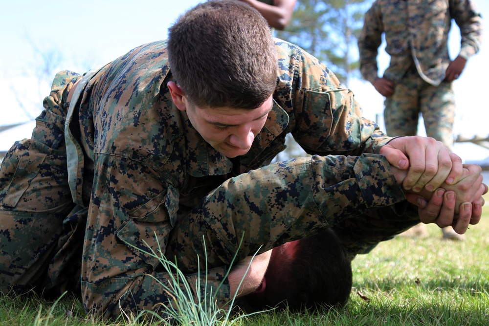 Marines put mental, physical strength to the test during team building obstacle course