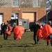 Dutch military complete a free fall jump