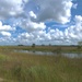 Corps of Engineers, partners, report on progress restoring America’s Everglades