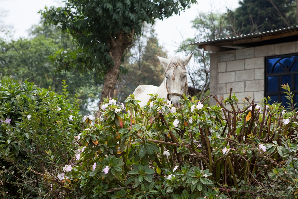 Beyond the Horizon 2016 Guatemala