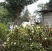 Beyond the Horizon 2016 Guatemala