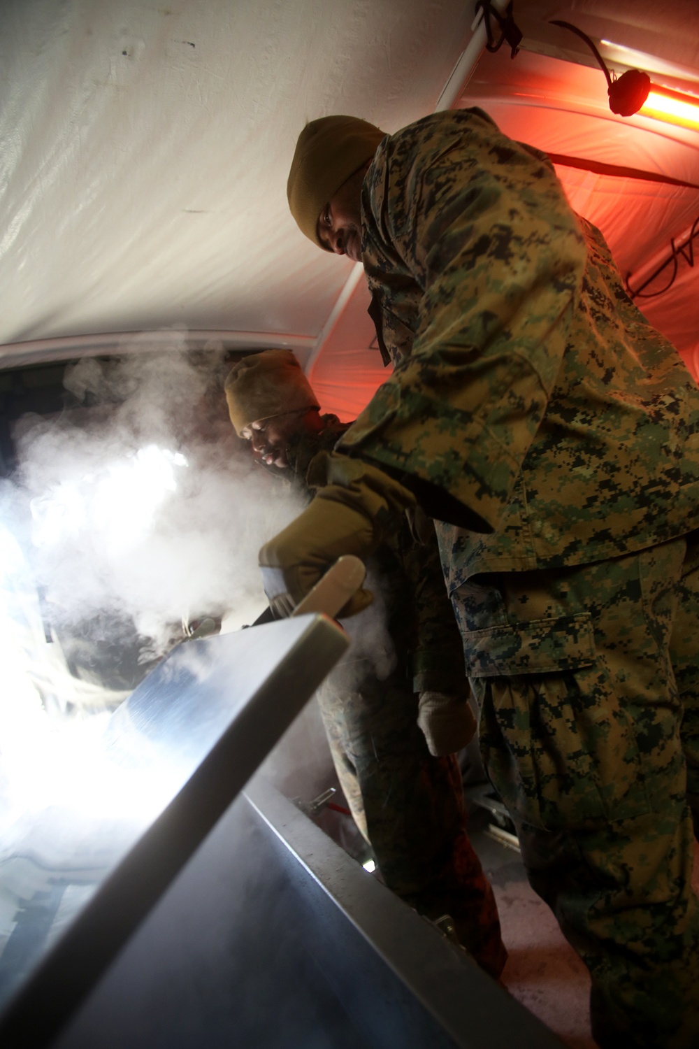 Taking on the mountain: 7th ESB Marines weather mountain warfare training alongside infantrymen