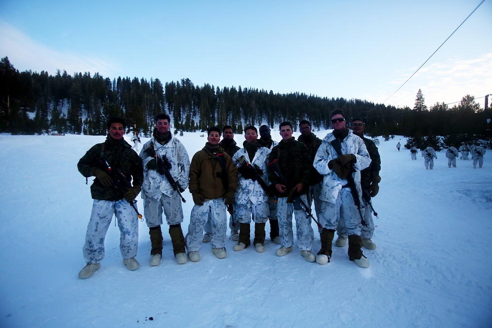 Taking on the mountain: 7th ESB Marines weather mountain warfare training alongside infantrymen