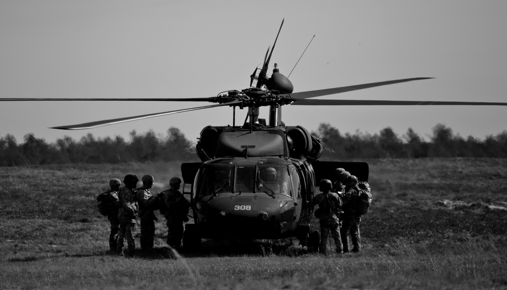 Paratroopers in black &amp; white