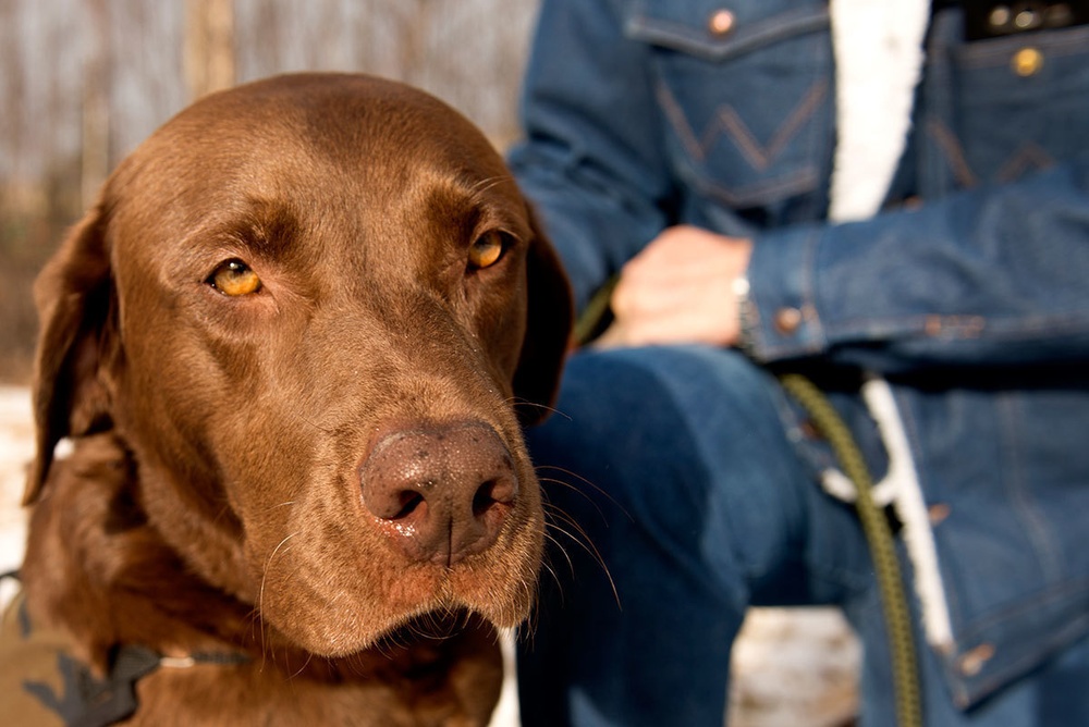 Alaska veteran finds peace from PTSD in companionship