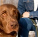 Alaska veteran finds peace from PTSD in companionship