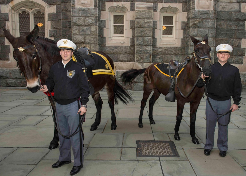 West Point's Newest Mule Mascot