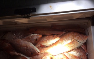 Federal, state agencies seize 488 red snapper caught off Texas coast