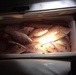 Federal, state agencies intercept illegally caught red snapper