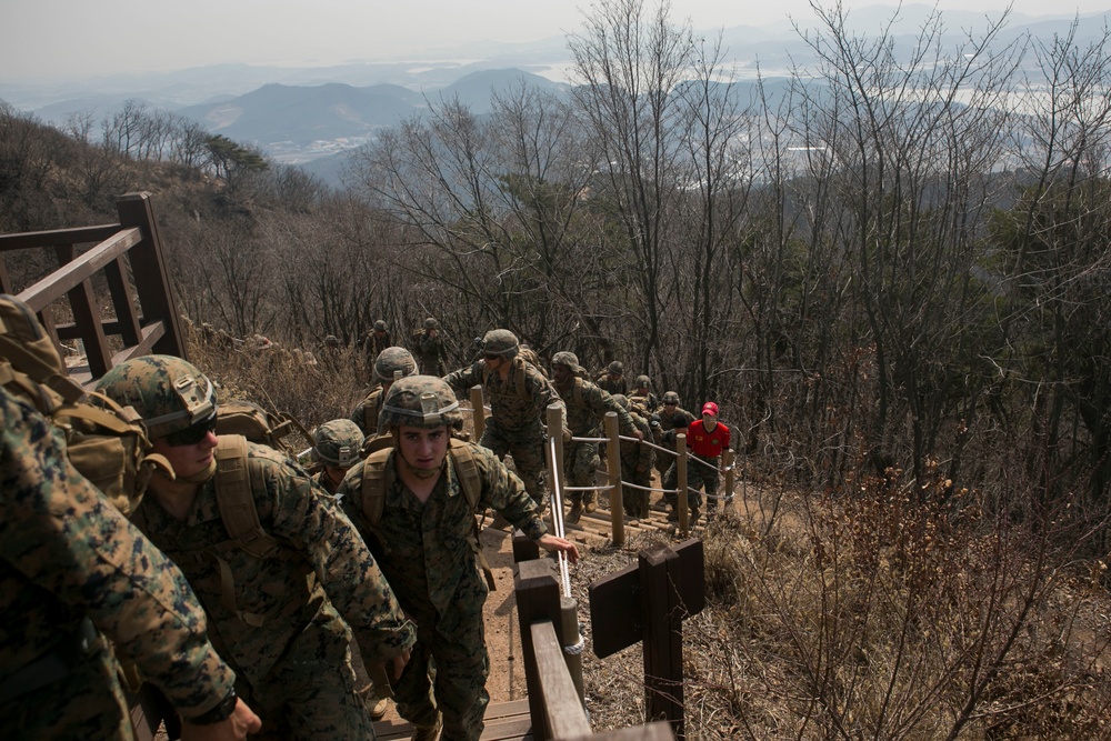 Lava Dogs Train at Korean Ranger Course