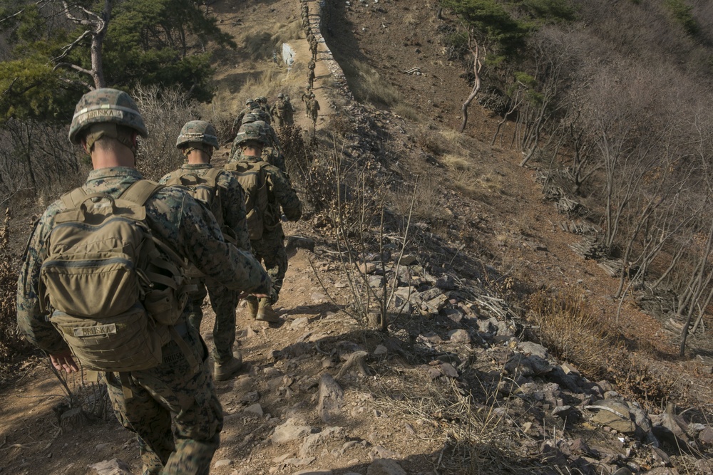 Lava Dogs Train at Korean Ranger Course