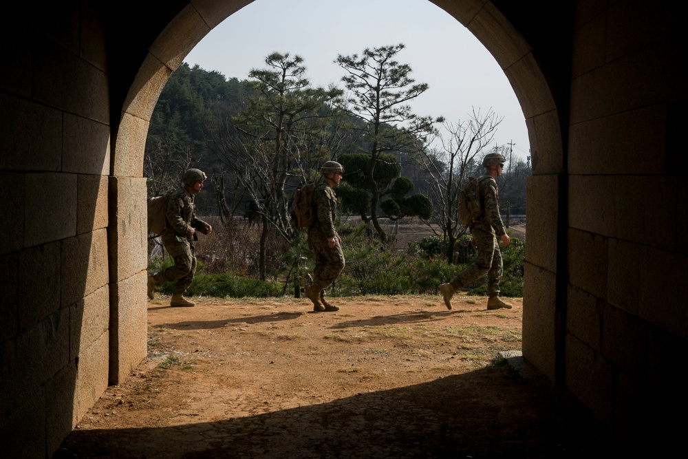 Lava Dogs Train at Korean Ranger Course