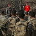 Lava Dogs Train at Korean Ranger Course