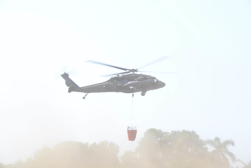 JTF-Bravo Supports Honduras Military in putting out a forest fire.