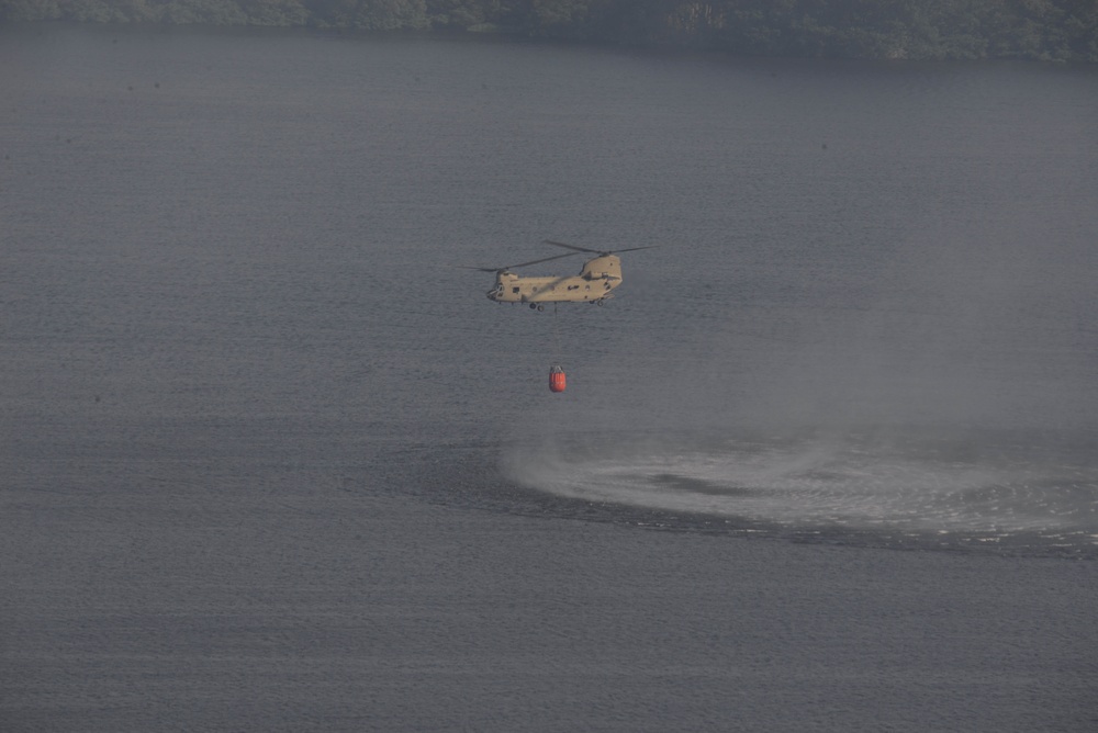 JTF-Bravo Supports Honduras Military in putting out a forest fire.