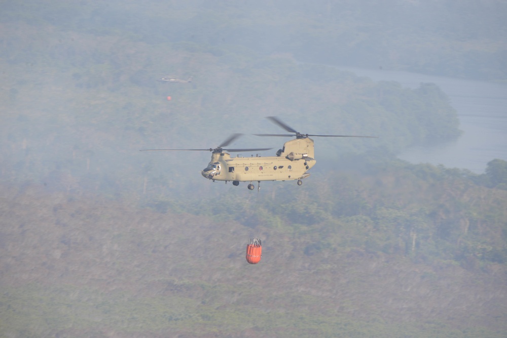 JTF-Bravo Supports Honduras Military in putting out a forest fire.