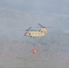 JTF-Bravo Supports Honduras Military in putting out a forest fire.