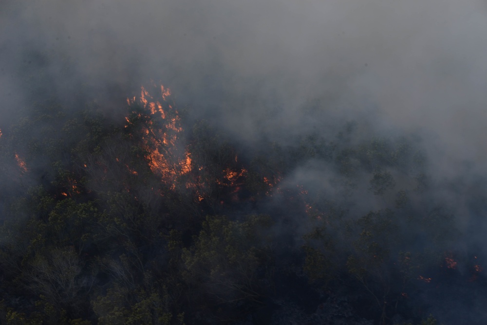 JTF-Bravo Supports Honduras Military in putting out a forest fire.