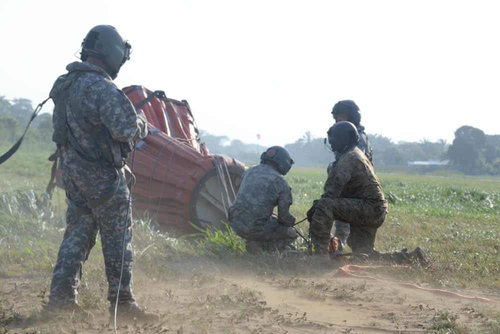 JTF-Bravo Supports Honduras Military in putting out a forest fire.