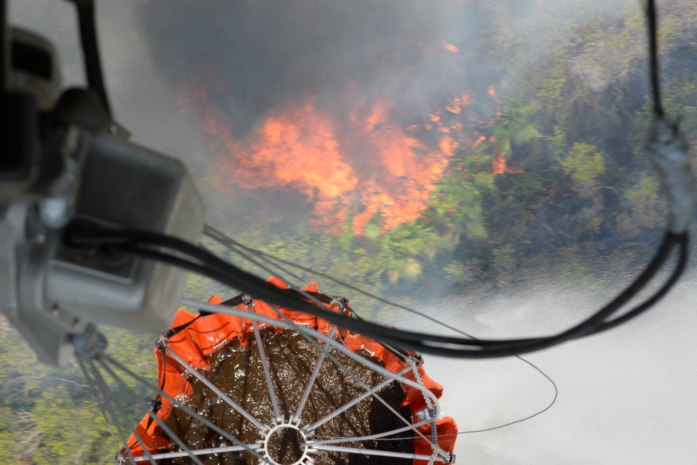 JTF-Bravo Supports Honduras Military in putting out a forest fire.