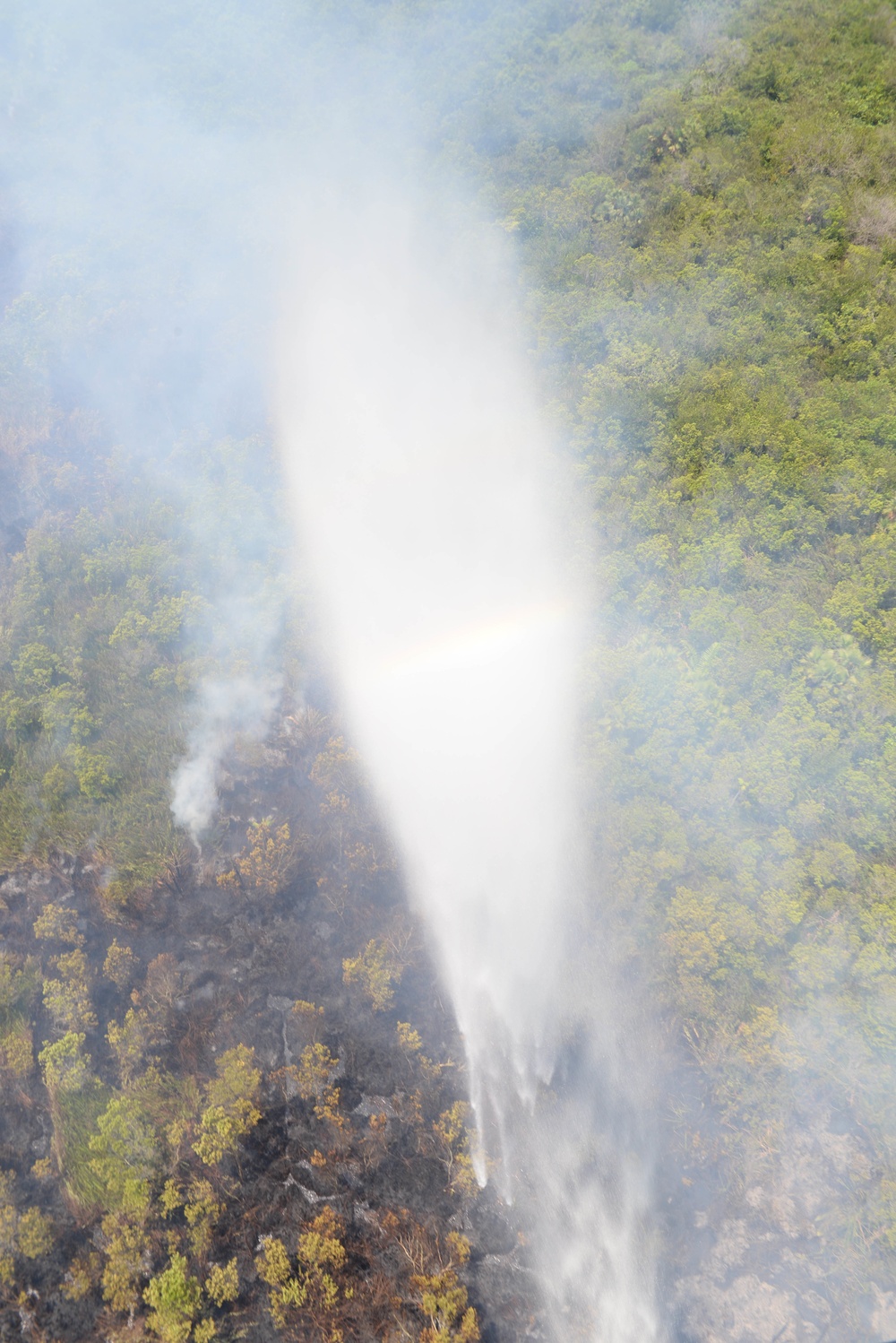 JTF-Bravo Supports Honduras Military in putting out a forest fire.