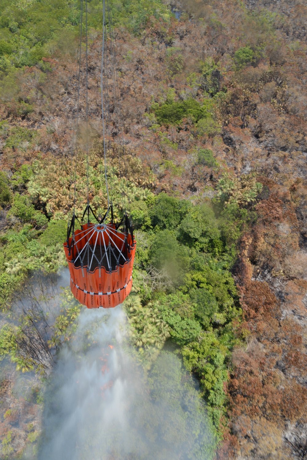 JTF-Bravo Supports Honduras Military in putting out a forest fire.