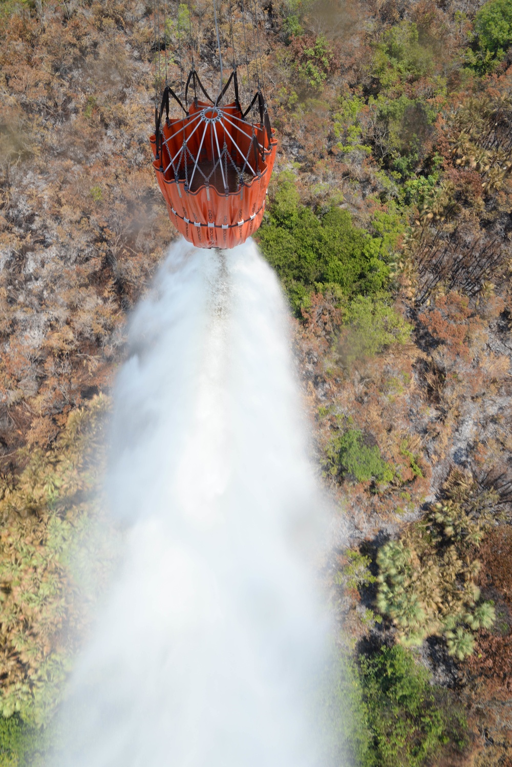 JTF-Bravo Supports Honduras Military in putting out a forest fire.