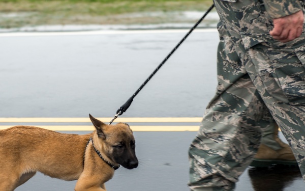 102IW Organizes SAPR 5K