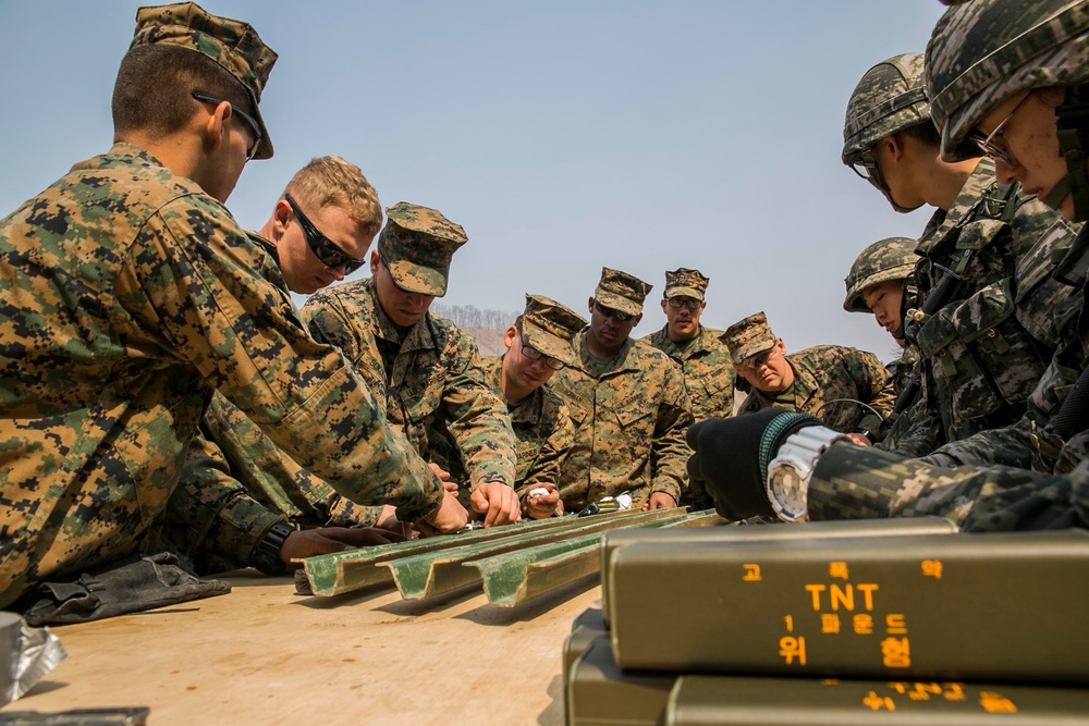 The range is hot: U.S. Marines, ROK Marines execute demolition range