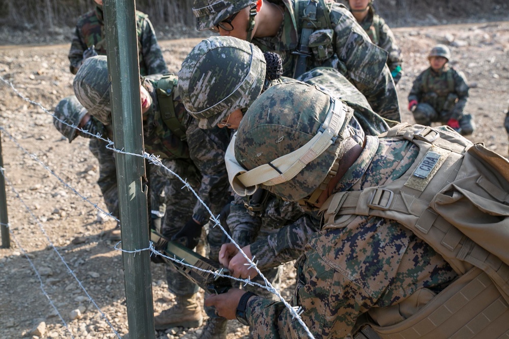 The range is hot: U.S. Marines and ROK Marines execute demolition range