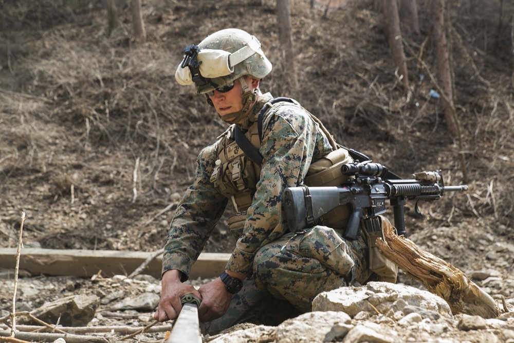 The range is hot: U.S. Marines, ROK Marines execute demolition range